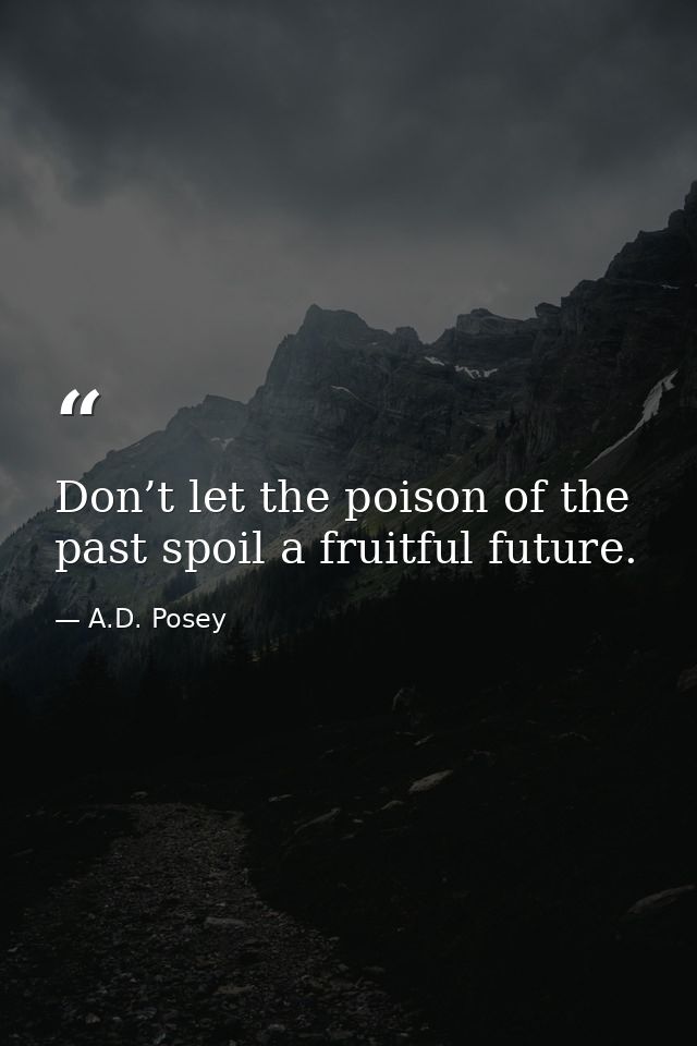 Don’t let the poison of the past spoil a fruitful future. — A.D. Posey