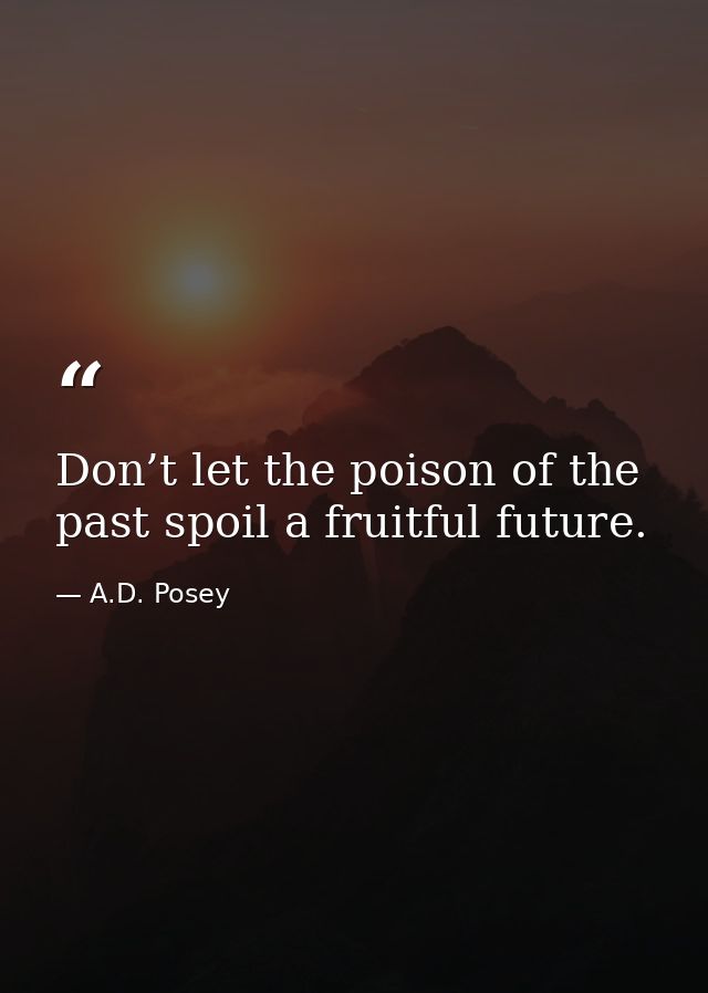Don’t let the poison of the past spoil a fruitful future. — A.D. Posey