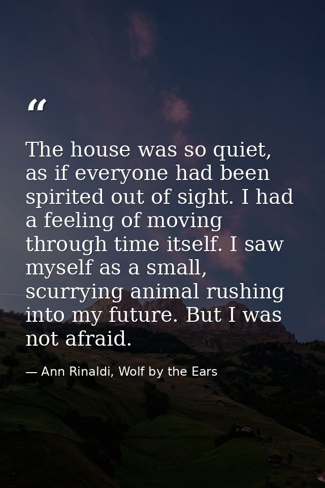The house was so quiet, as if everyone had been spirited out of sight. I had a feeling of moving through time itself. I  — Ann Rinaldi, Wolf by the Ears