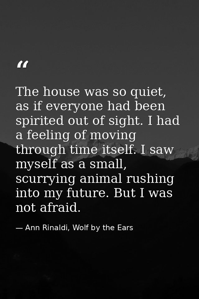 The house was so quiet, as if everyone had been spirited out of sight. I had a feeling of moving through time itself. I  — Ann Rinaldi, Wolf by the Ears