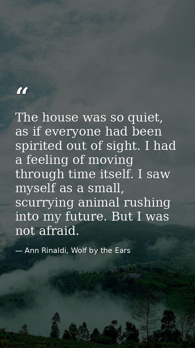 The house was so quiet, as if everyone had been spirited out of sight. I had a feeling of moving through time itself. I  — Ann Rinaldi, Wolf by the Ears