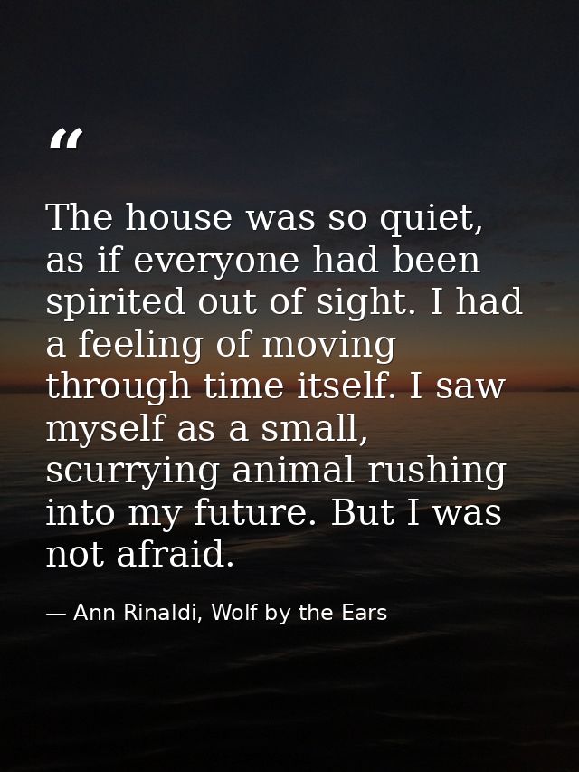 The house was so quiet, as if everyone had been spirited out of sight. I had a feeling of moving through time itself. I  — Ann Rinaldi, Wolf by the Ears