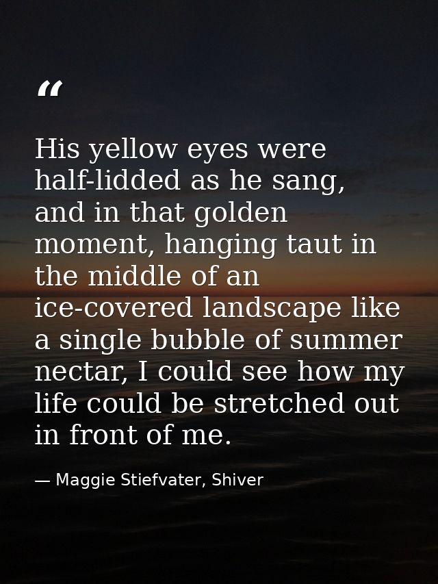 His yellow eyes were half-lidded as he sang, and in that golden moment, hanging taut in the middle of an ice-covered lan — Maggie Stiefvater, Shiver