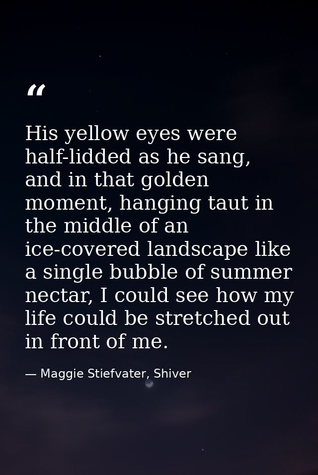 His yellow eyes were half-lidded as he sang, and in that golden moment, hanging taut in the middle of an ice-covered lan — Maggie Stiefvater, Shiver