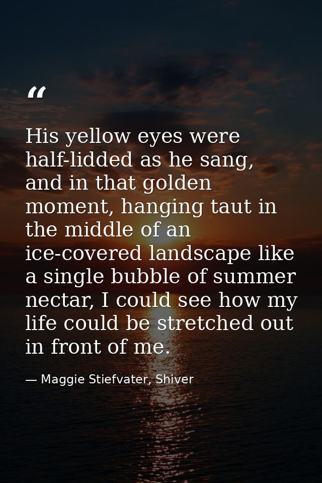 His yellow eyes were half-lidded as he sang, and in that golden moment, hanging taut in the middle of an ice-covered lan — Maggie Stiefvater, Shiver