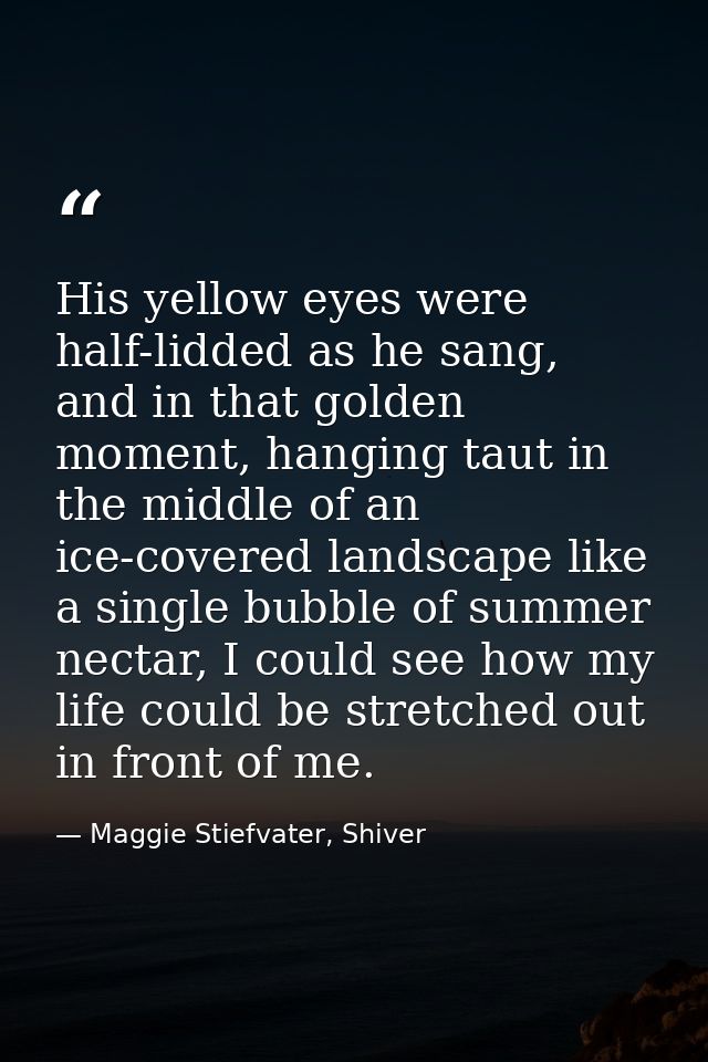 His yellow eyes were half-lidded as he sang, and in that golden moment, hanging taut in the middle of an ice-covered lan — Maggie Stiefvater, Shiver