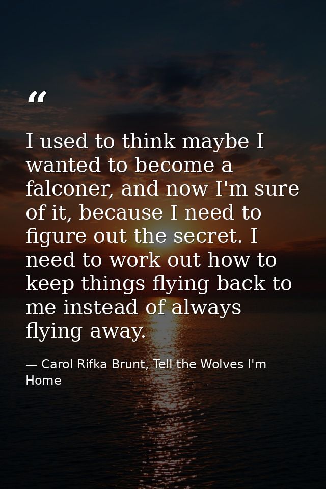 I used to think maybe I wanted to become a falconer, and now I'm sure of it, because I need to figure out the secret. I  — Carol Rifka Brunt, Tell the Wolves I'm Home