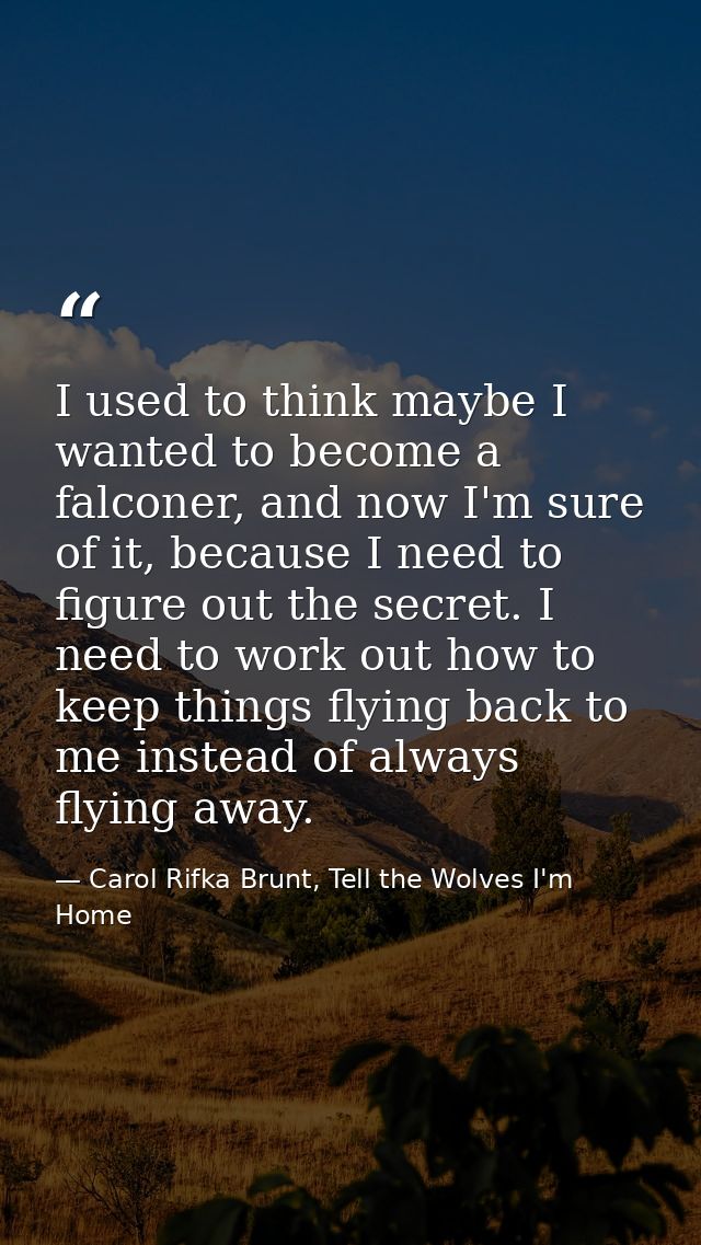 I used to think maybe I wanted to become a falconer, and now I'm sure of it, because I need to figure out the secret. I  — Carol Rifka Brunt, Tell the Wolves I'm Home