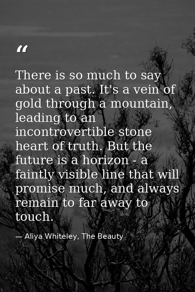 There is so much to say about a past. It's a vein of gold through a mountain, leading to an incontrovertible stone heart — Aliya Whiteley, The Beauty
