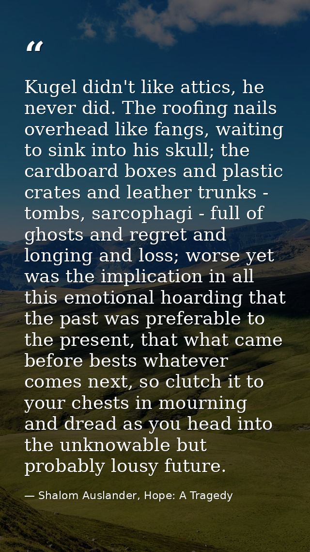 Kugel didn't like attics, he never did. The roofing nails overhead like fangs, waiting to sink into his skull; the cardb — Shalom Auslander, Hope: A Tragedy