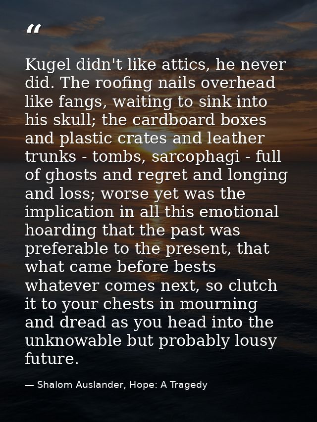 Kugel didn't like attics, he never did. The roofing nails overhead like fangs, waiting to sink into his skull; the cardb — Shalom Auslander, Hope: A Tragedy