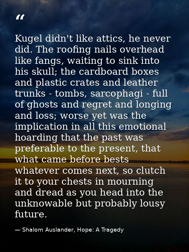 Kugel didn't like attics, he never did. The roofing nails overhead like fangs, waiting to sink into his skull; the cardb — Shalom Auslander, Hope: A Tragedy