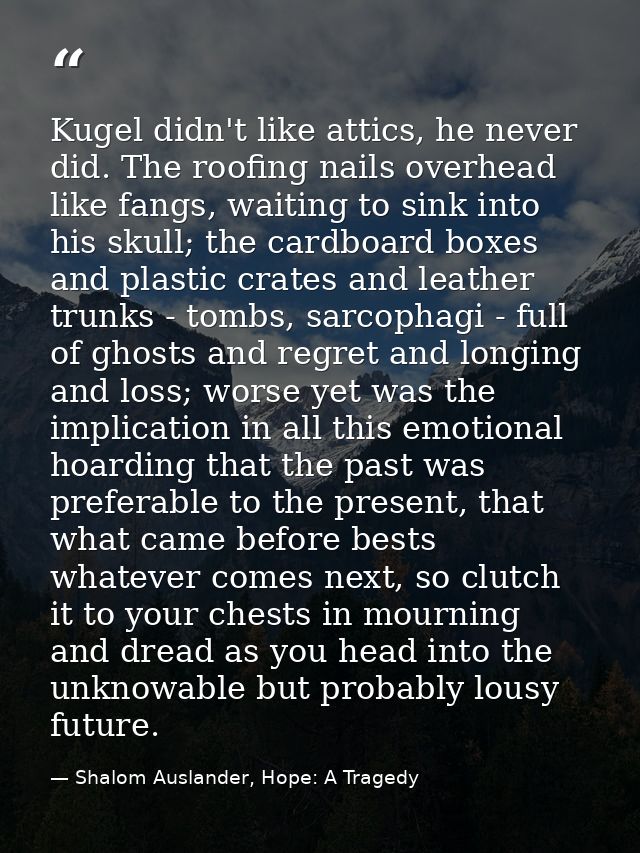 Kugel didn't like attics, he never did. The roofing nails overhead like fangs, waiting to sink into his skull; the cardb — Shalom Auslander, Hope: A Tragedy