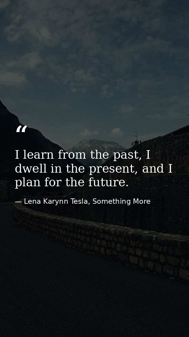 I learn from the past, I dwell in the present, and I plan for the future. — Lena Karynn Tesla, Something More