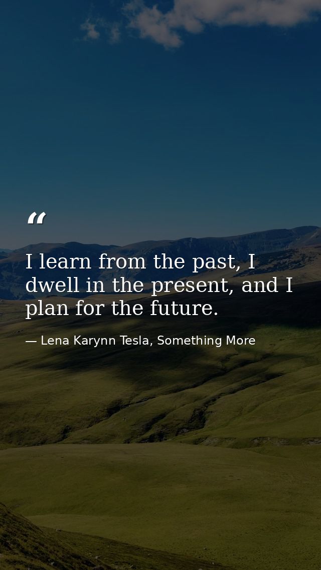 I learn from the past, I dwell in the present, and I plan for the future. — Lena Karynn Tesla, Something More