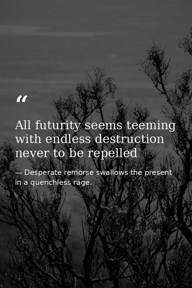 All futurity seems teeming with endless destruction never to be repelled — Desperate remorse swallows the present in a quenchless rage.