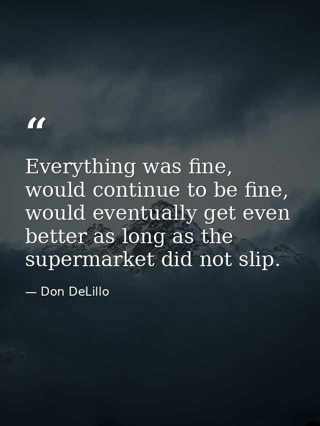 Everything was fine, would continue to be fine, would eventually get even better as long as the supermarket did not slip — Don DeLillo