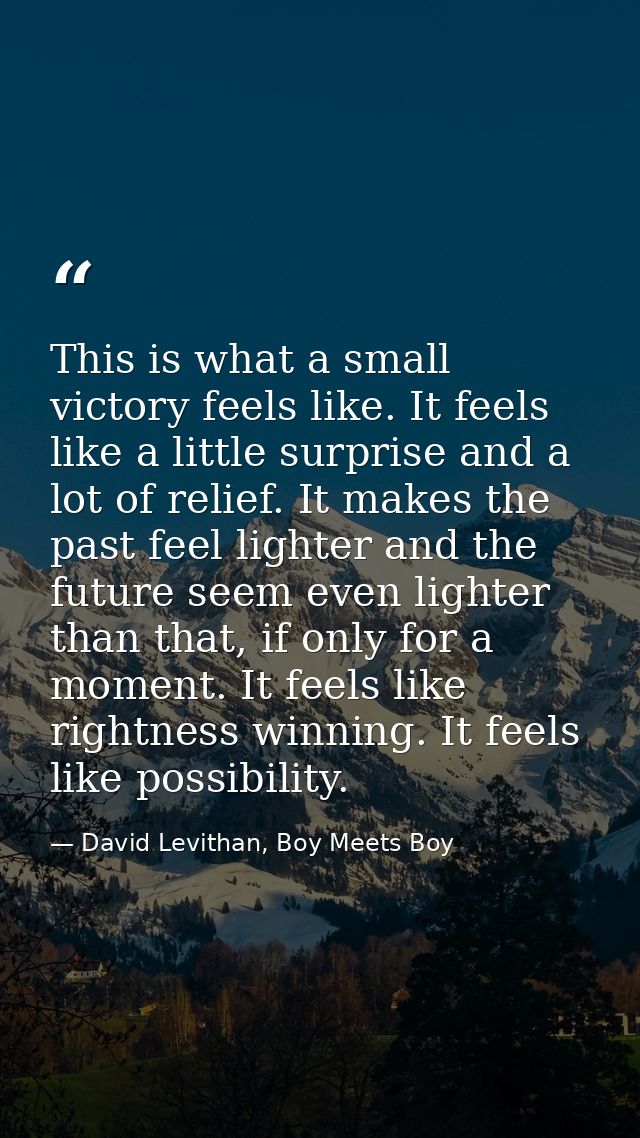 This is what a small victory feels like. It feels like a little surprise and a lot of relief. It makes the past feel lig — David Levithan, Boy Meets Boy