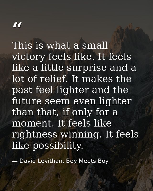 This is what a small victory feels like. It feels like a little surprise and a lot of relief. It makes the past feel lig — David Levithan, Boy Meets Boy