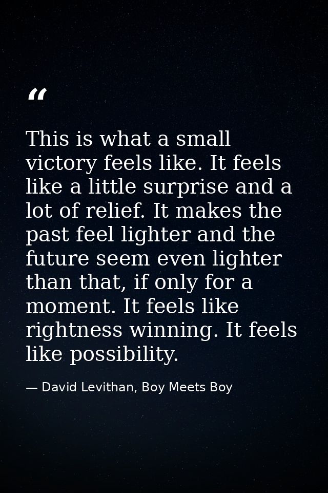 This is what a small victory feels like. It feels like a little surprise and a lot of relief. It makes the past feel lig — David Levithan, Boy Meets Boy
