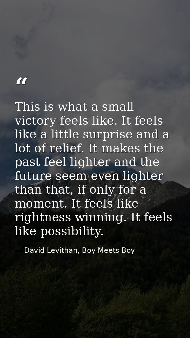 This is what a small victory feels like. It feels like a little surprise and a lot of relief. It makes the past feel lig — David Levithan, Boy Meets Boy