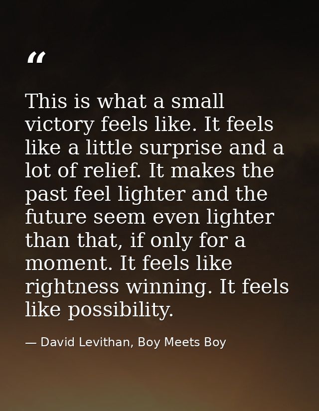 This is what a small victory feels like. It feels like a little surprise and a lot of relief. It makes the past feel lig — David Levithan, Boy Meets Boy