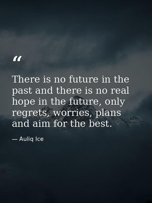 There is no future in the past and there is no real hope in the future, only regrets, worries, plans and aim for the bes — Auliq Ice