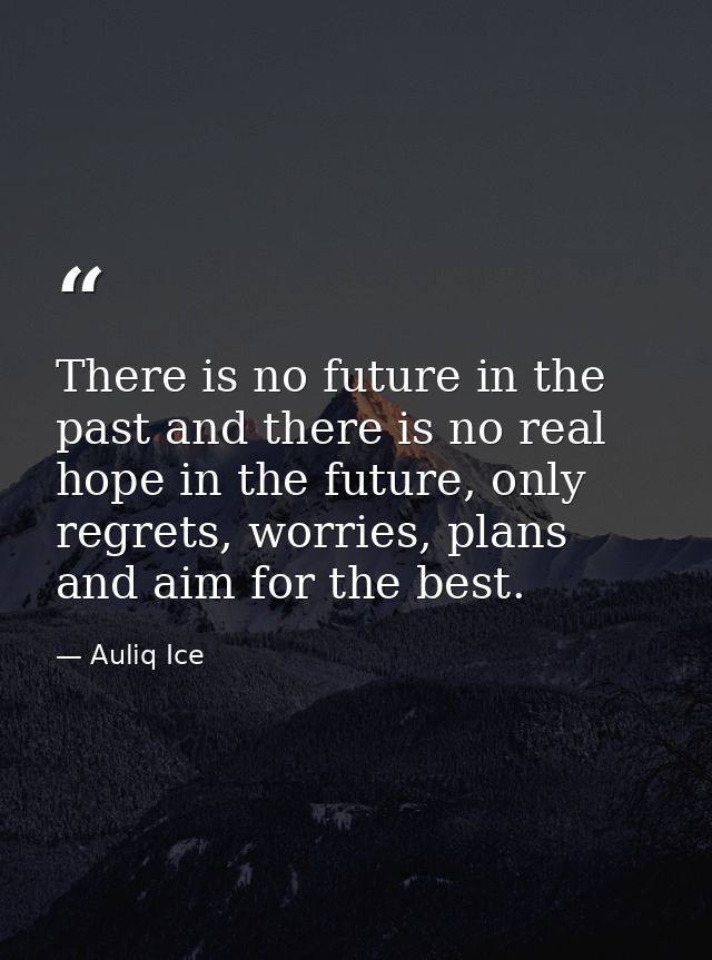 There is no future in the past and there is no real hope in the future, only regrets, worries, plans and aim for the bes — Auliq Ice