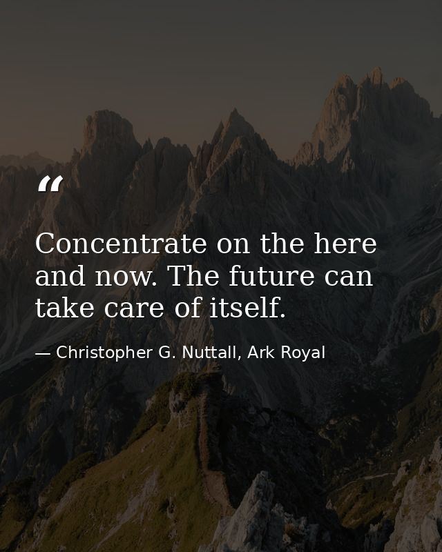 Concentrate on the here and now. The future can take care of itself. — Christopher G. Nuttall, Ark Royal