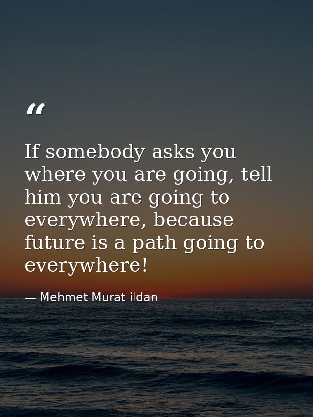 If somebody asks you where you are going, tell him you are going to everywhere, because future is a path going to everyw — Mehmet Murat ildan