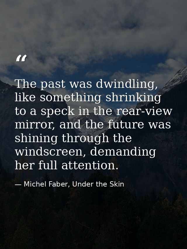 The past was dwindling, like something shrinking to a speck in the rear-view mirror, and the future was shining through  — Michel Faber, Under the Skin