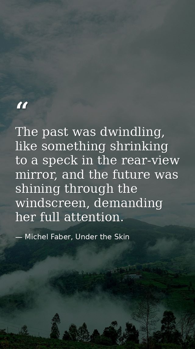 The past was dwindling, like something shrinking to a speck in the rear-view mirror, and the future was shining through  — Michel Faber, Under the Skin
