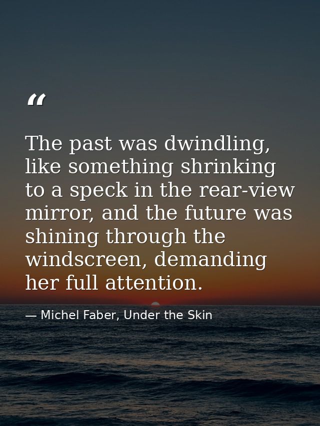 The past was dwindling, like something shrinking to a speck in the rear-view mirror, and the future was shining through  — Michel Faber, Under the Skin