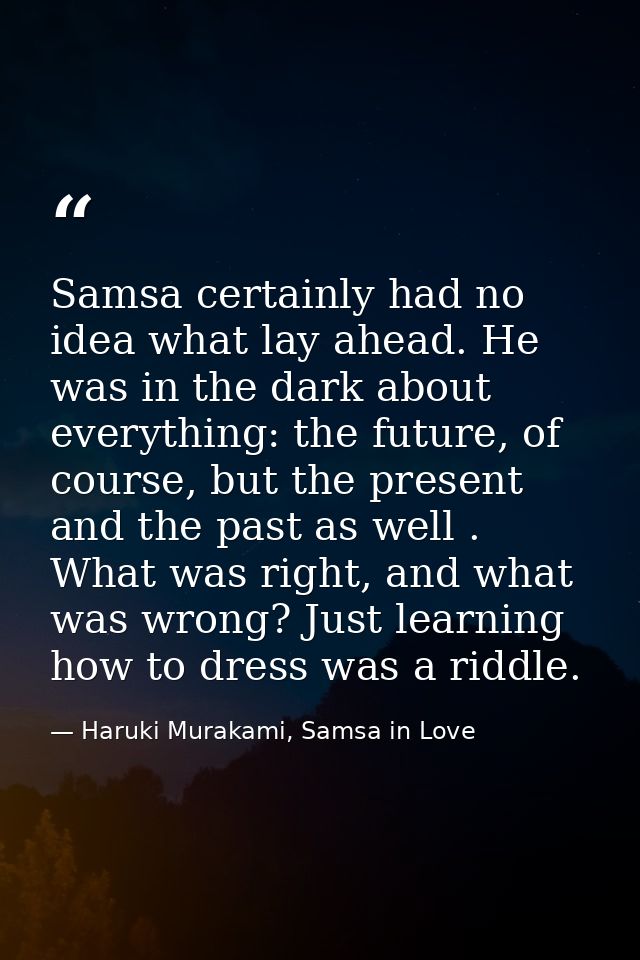 Samsa certainly had no idea what lay ahead. He was in the dark about everything: the future, of course, but the present  — Haruki Murakami, Samsa in Love
