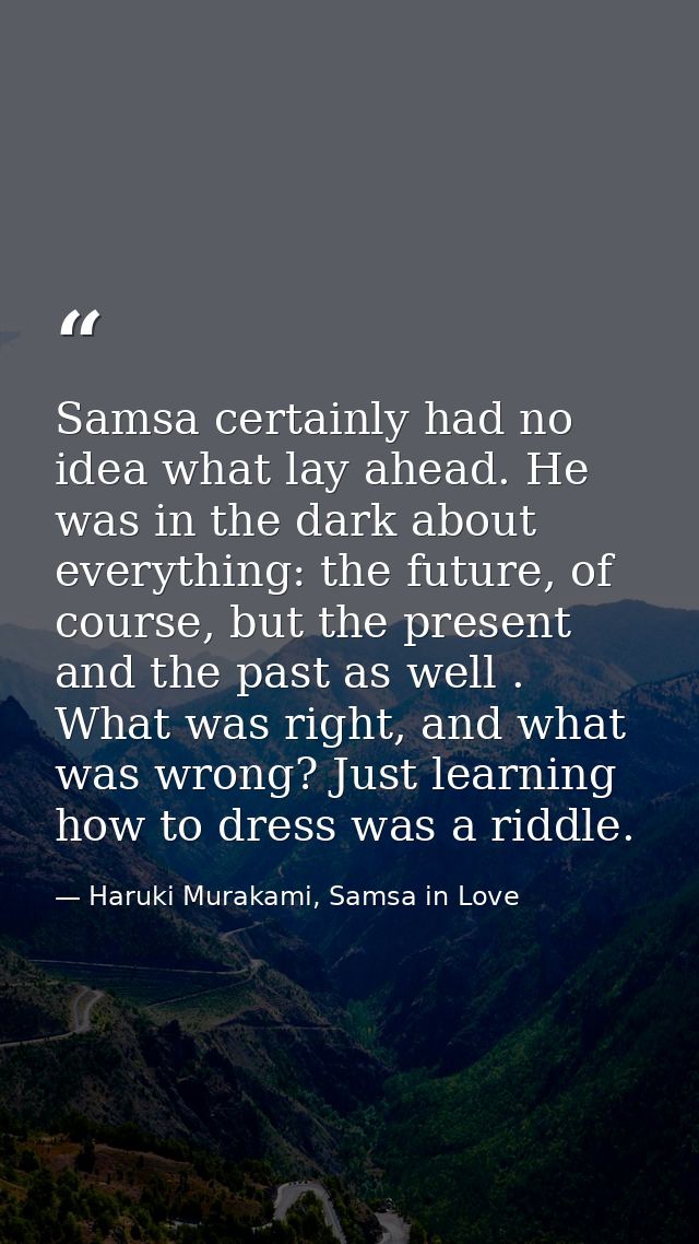 Samsa certainly had no idea what lay ahead. He was in the dark about everything: the future, of course, but the present  — Haruki Murakami, Samsa in Love