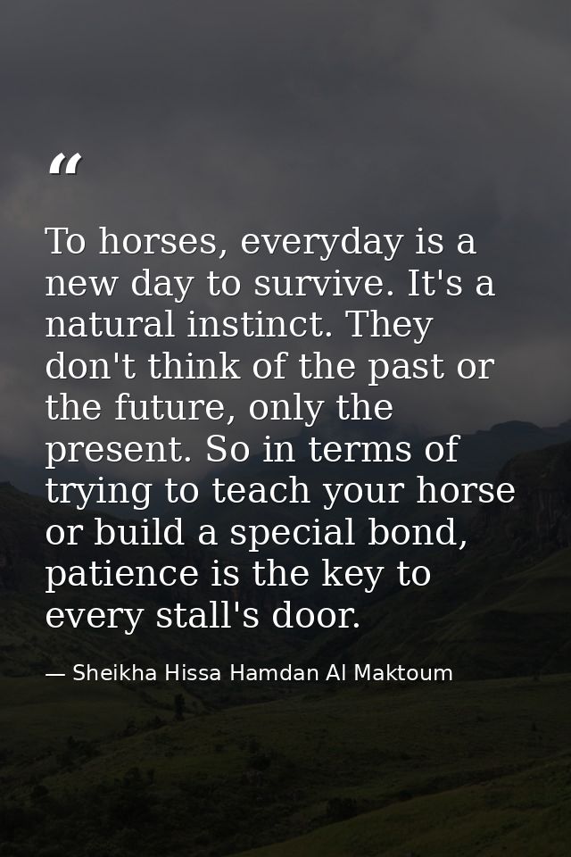 To horses, everyday is a new day to survive. It's a natural instinct. They don't think of the past or the future, only t — Sheikha Hissa Hamdan Al Maktoum