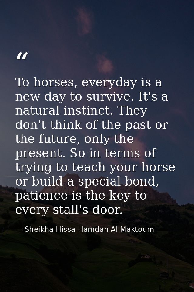 To horses, everyday is a new day to survive. It's a natural instinct. They don't think of the past or the future, only t — Sheikha Hissa Hamdan Al Maktoum