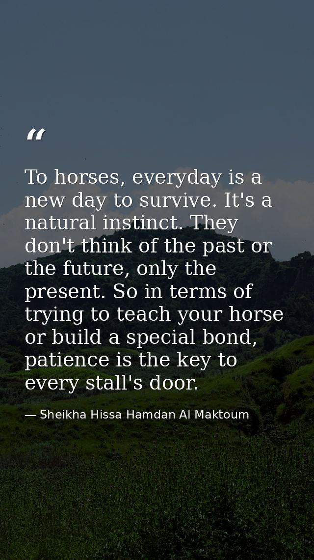 To horses, everyday is a new day to survive. It's a natural instinct. They don't think of the past or the future, only t — Sheikha Hissa Hamdan Al Maktoum