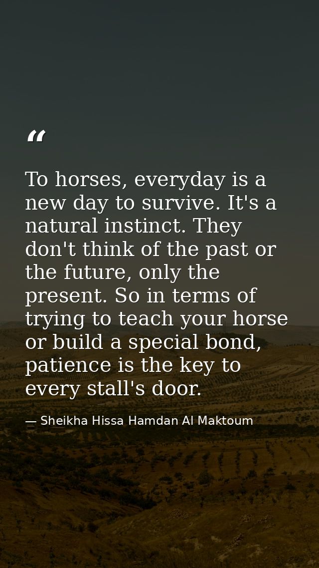 To horses, everyday is a new day to survive. It's a natural instinct. They don't think of the past or the future, only t — Sheikha Hissa Hamdan Al Maktoum