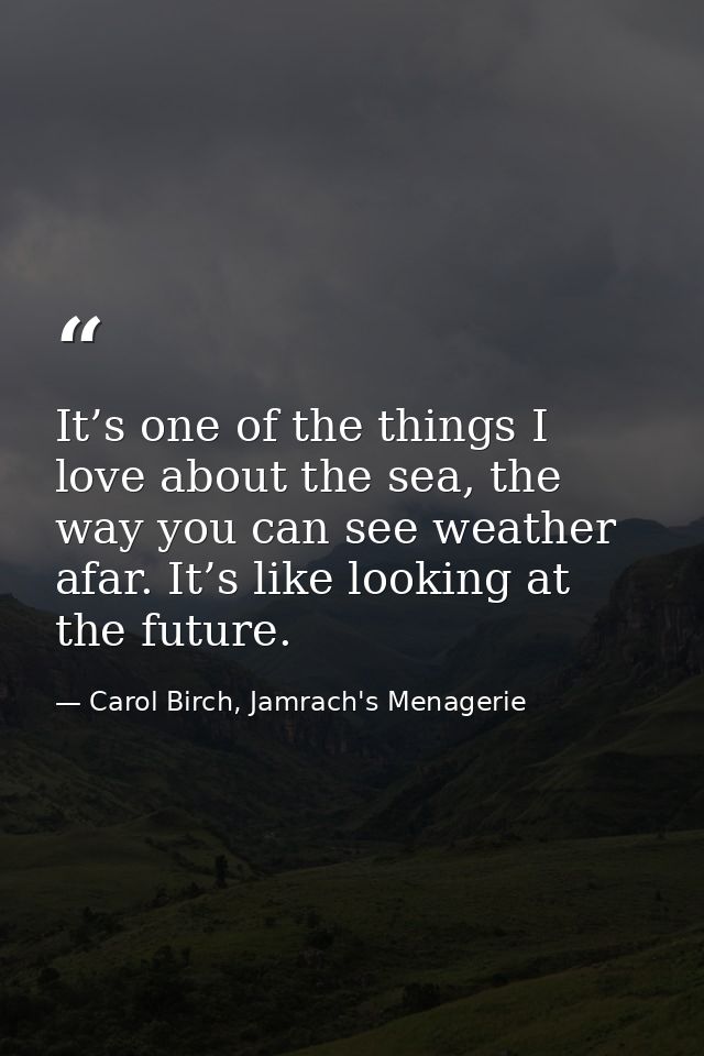 It’s one of the things I love about the sea, the way you can see weather afar. It’s like looking at the future. — Carol Birch, Jamrach's Menagerie