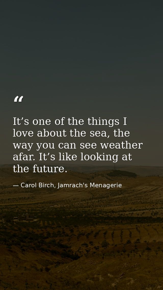 It’s one of the things I love about the sea, the way you can see weather afar. It’s like looking at the future. — Carol Birch, Jamrach's Menagerie
