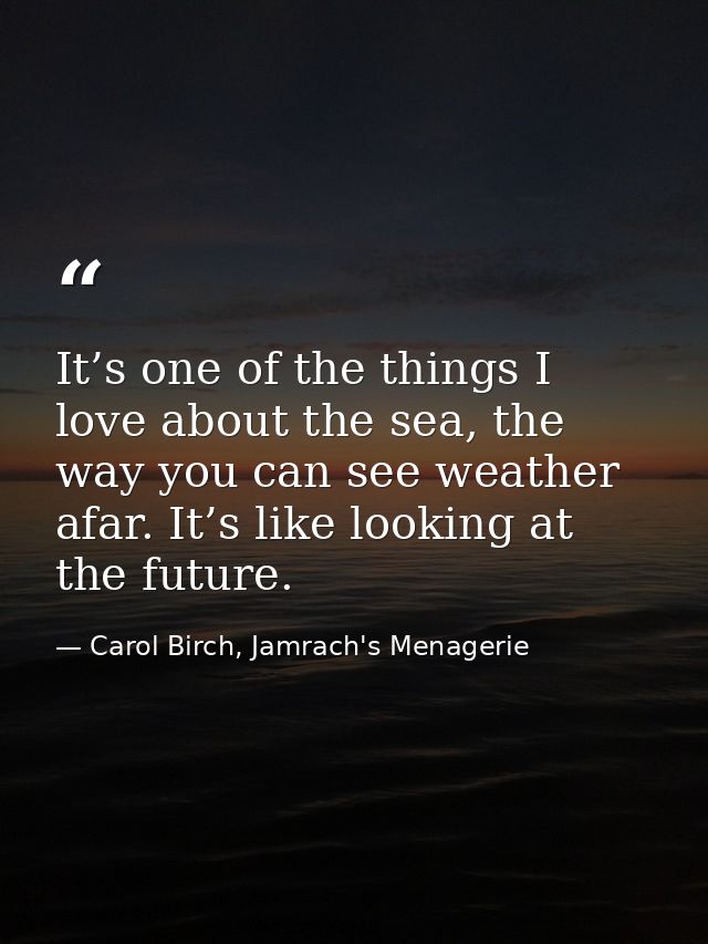 It’s one of the things I love about the sea, the way you can see weather afar. It’s like looking at the future. — Carol Birch, Jamrach's Menagerie