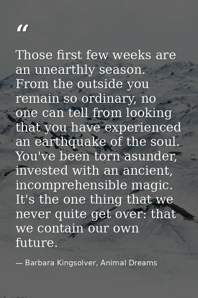 Those first few weeks are an unearthly season. From the outside you remain so ordinary, no one can tell from looking tha — Barbara Kingsolver, Animal Dreams