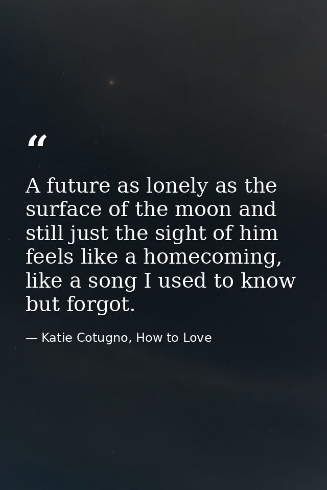 A future as lonely as the surface of the moon and still just the sight of him feels like a homecoming, like a song I use — Katie Cotugno, How to Love