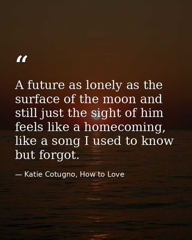 A future as lonely as the surface of the moon and still just the sight of him feels like a homecoming, like a song I use — Katie Cotugno, How to Love