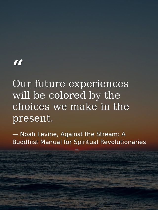 Our future experiences will be colored by the choices we make in the present. — Noah Levine, Against the Stream: A Buddhist Manual for Spiritual Revolutionaries