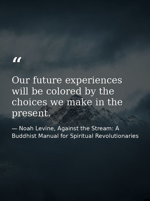 Our future experiences will be colored by the choices we make in the present. — Noah Levine, Against the Stream: A Buddhist Manual for Spiritual Revolutionaries