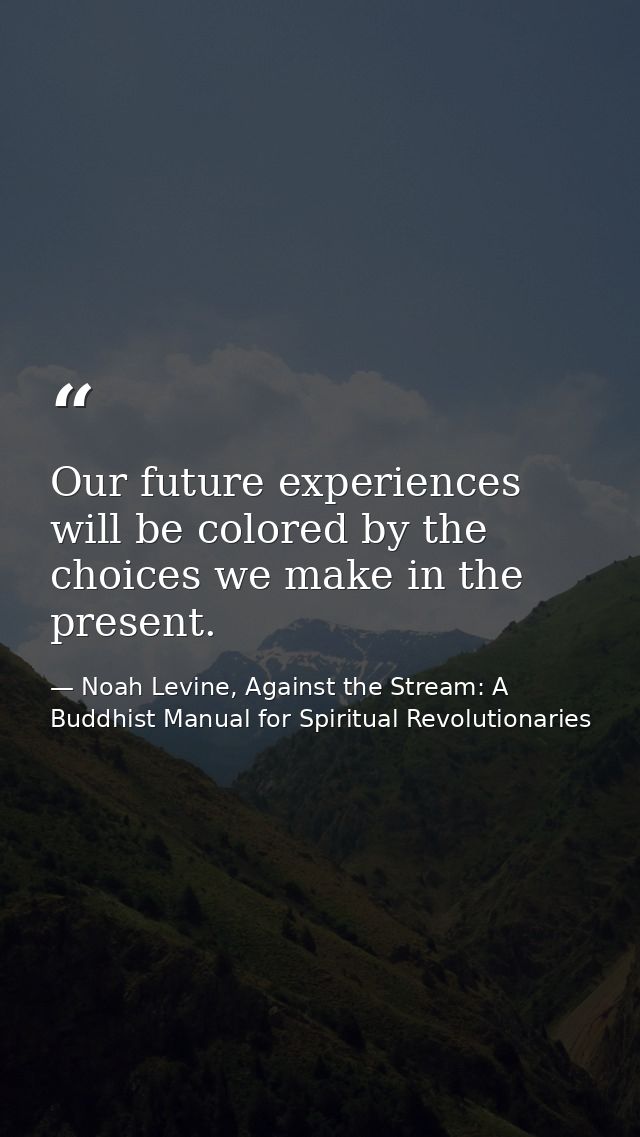 Our future experiences will be colored by the choices we make in the present. — Noah Levine, Against the Stream: A Buddhist Manual for Spiritual Revolutionaries