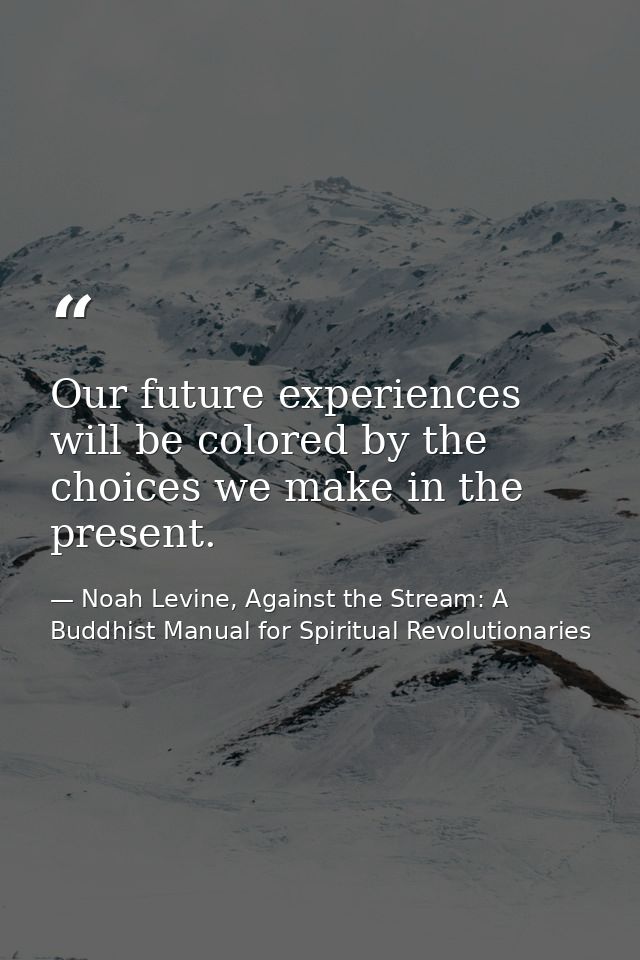 Our future experiences will be colored by the choices we make in the present. — Noah Levine, Against the Stream: A Buddhist Manual for Spiritual Revolutionaries
