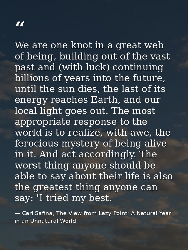 We are one knot in a great web of being, building out of the vast past and (with luck) continuing billions of years into — Carl Safina, The View from Lazy Point: A Natural Year in an Unnatural World